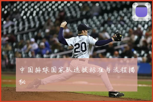 中国排球国家队选拔标准与流程揭秘