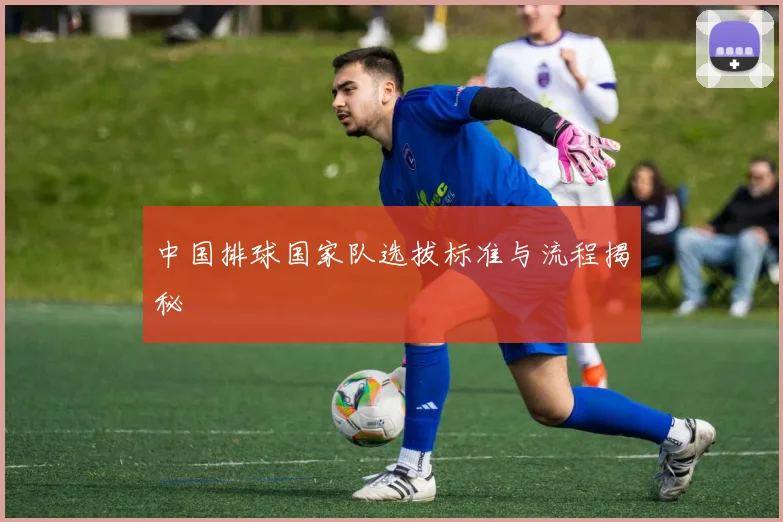 中国排球国家队选拔标准与流程揭秘